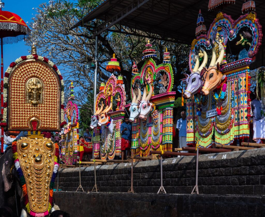 Kalavela Bulls at Periyanampatta temple